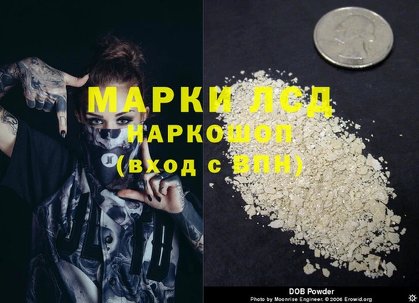 сатива Богородицк