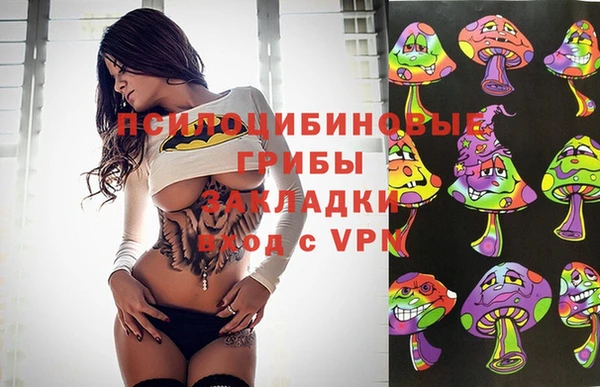 сатива Богородицк