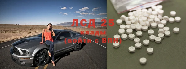 сатива Богородицк