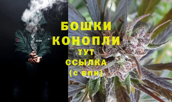 стафф Богданович