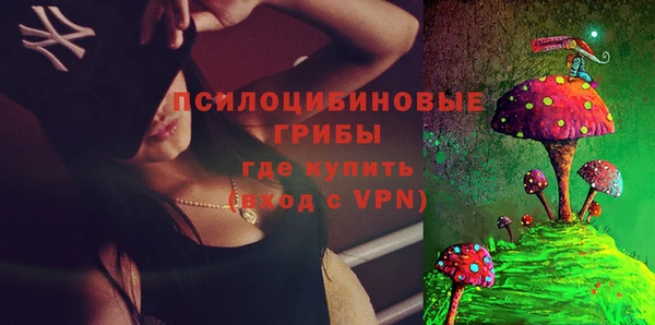 стафф Богданович