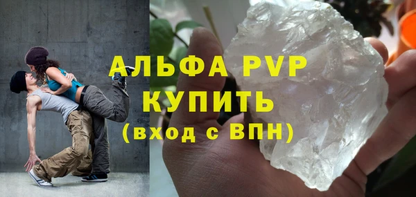 стафф Богданович