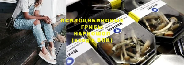 сатива Богородицк
